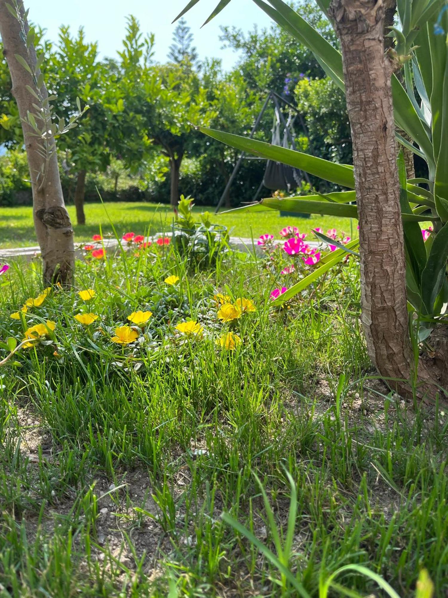 B&B Da Francesco Paestum Dış mekan fotoğraf